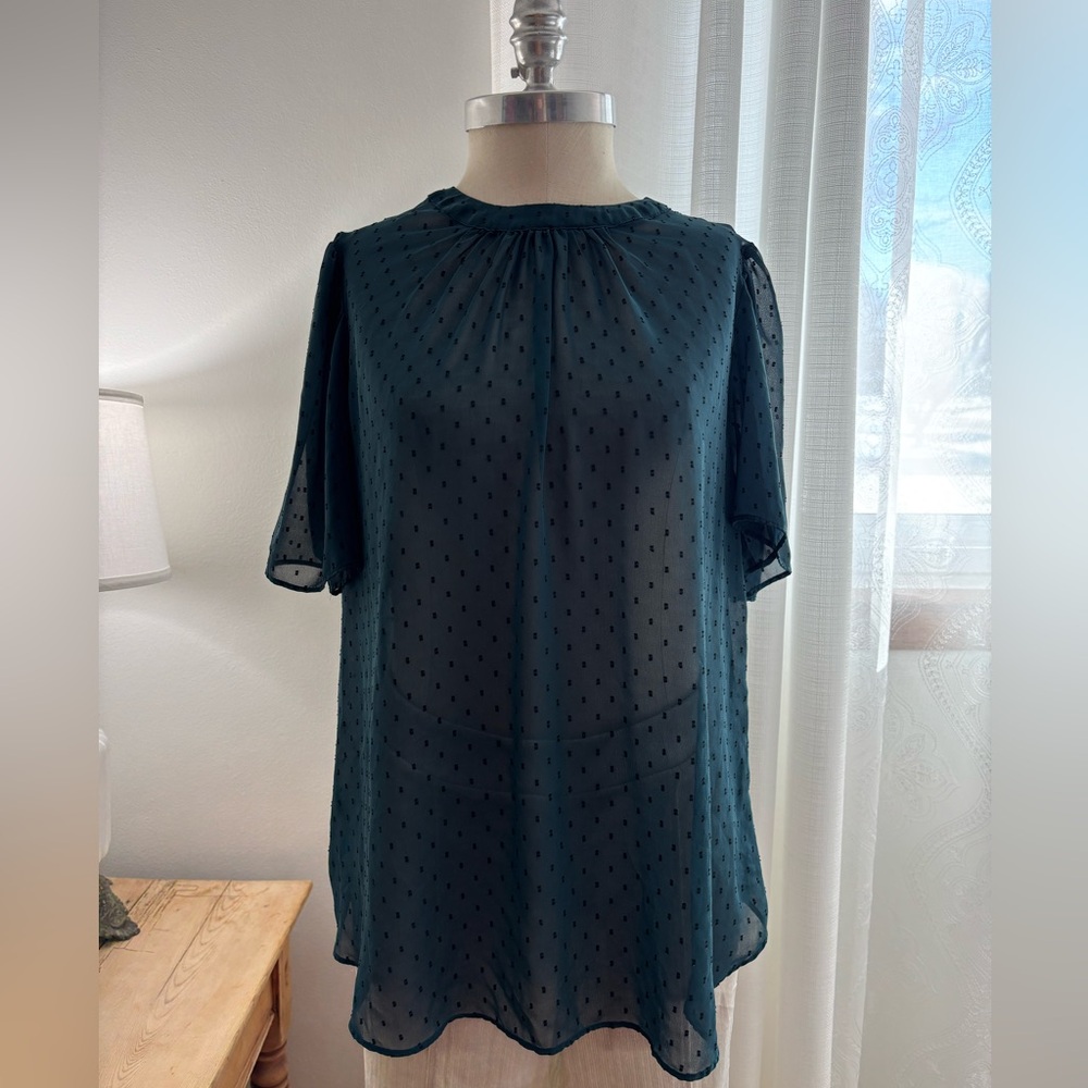 Elegant Teal Sheer Women's Top, Ava & Viv, size X (but more like a large). GUC
